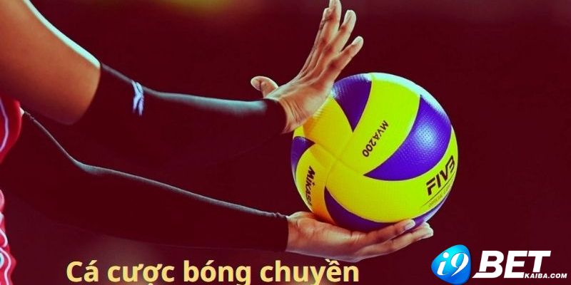 Bộ sưu tập này bao gồm các trò chơi thể thao được xếp hạng Mu88 - Mu88